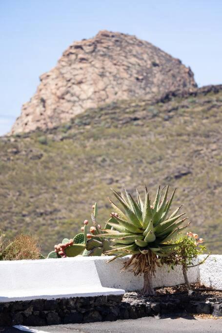 El Retamar, Naturaleza Y Paisajes Santiago del Teide Buitenkant foto